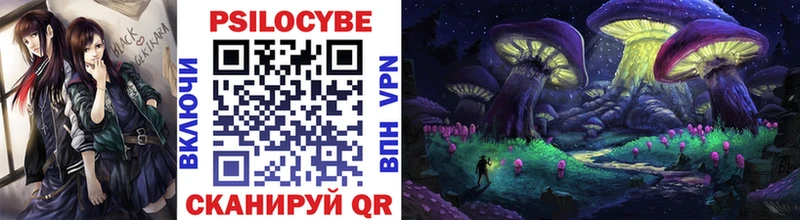 Галлюциногенные грибы Psilocybine cubensis  Купить  Семикаракорск 